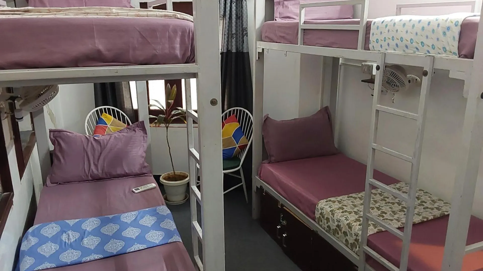 Raahi Backpacker'S Hostel Udaipur India